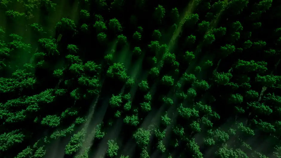 <span>DEACERO y DLabs</span> ahora<br/> forman parte del <span>HUB de<br/> innovación 1871</span> en Chicago.