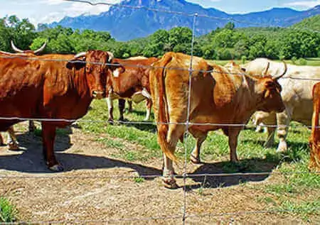 Agro y Pesca Agro y Pesca